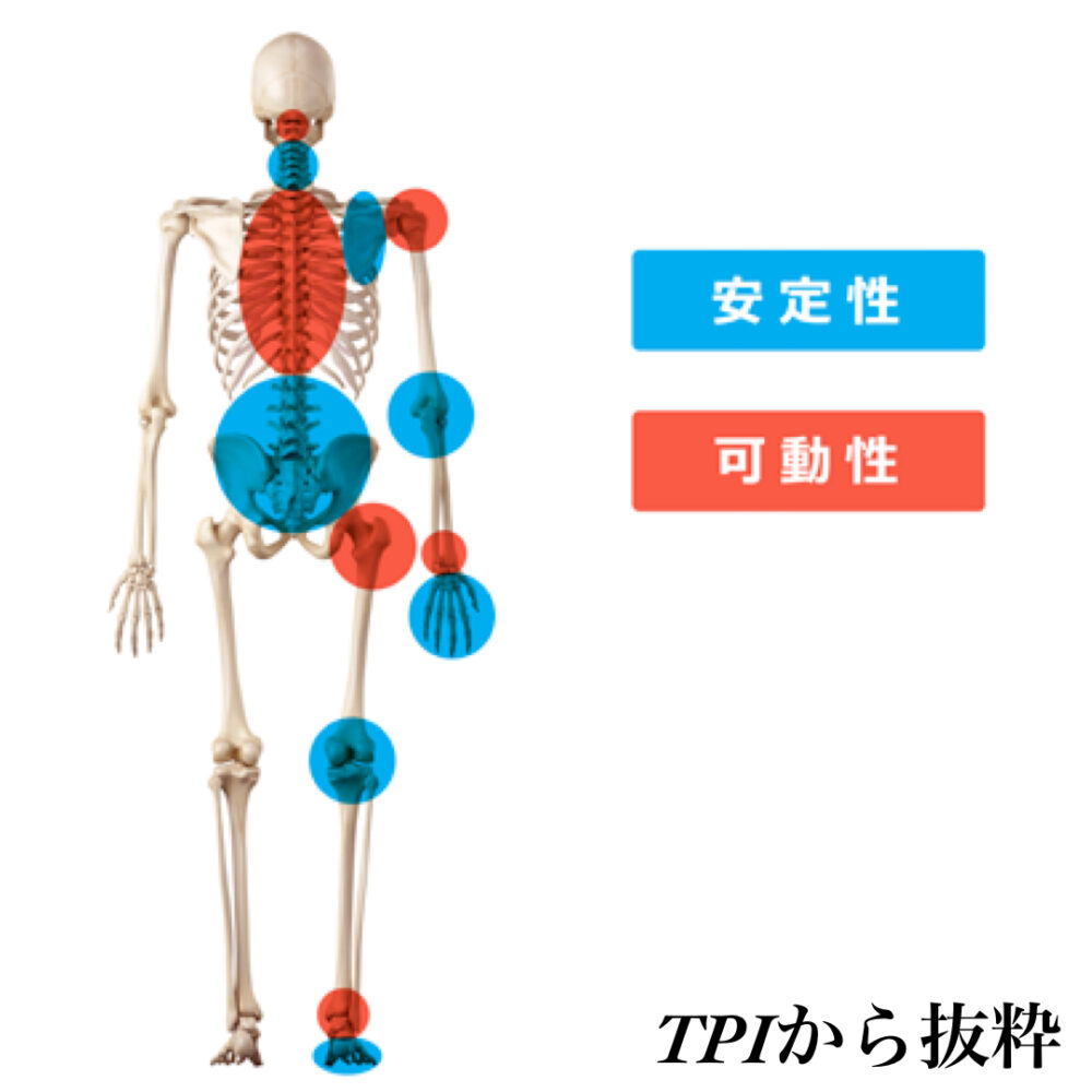 TPI 基礎部分のスクリーニング【可動性と安定性】